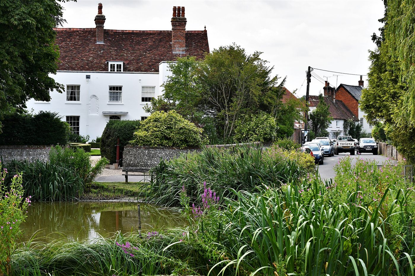 A village pond and green in the Hampshire countryside